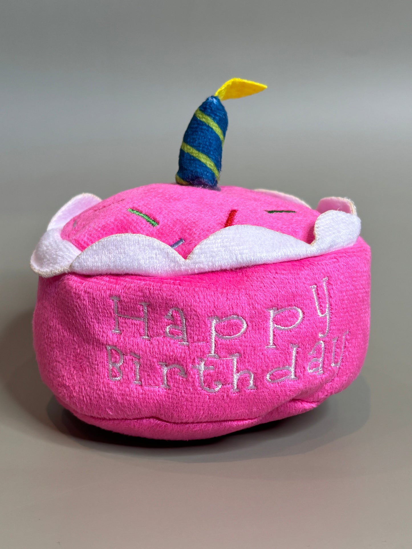 Birthday Cake Toy